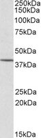 EB05366 1
