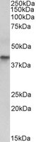 EB12359 1
