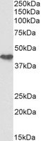 EB12359-B 1