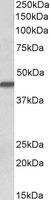EB12360 1