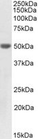 EB11745-B 1