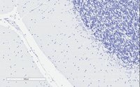 EB08319 2