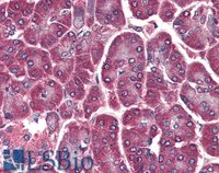 EB08790 3