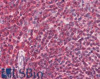 EB08790 4