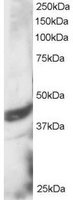 EB05427 1