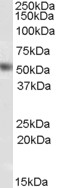 EB07778 1