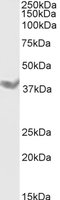 EB06857 1