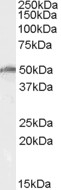 EB07900 1