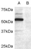 EB07059 1