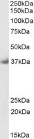 EB10758-B 1