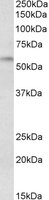 EB07575 1