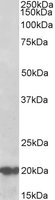 EB11846 1