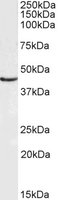EB07258 1