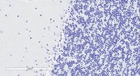 EB10781 3