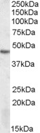EB09400 1
