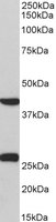 EB11892 2