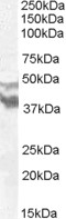 EB07254 1