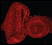 EB11712 1