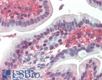 EB07891 3