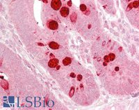 EB07129 3