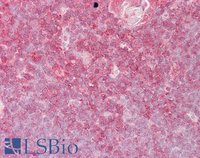 EB05528 3