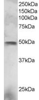 EB05503 1