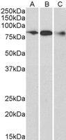 EB05297 1