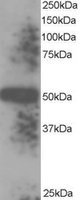 EB06471 1