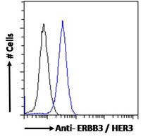 EB06903 2