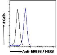 EB06903-T 2
