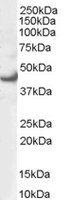 EB06751-T 1