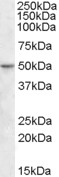 EB09259 1