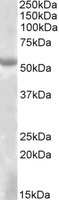 EB09731 1