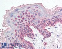 EB06048 1