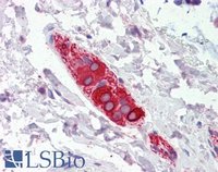 EB07508 2