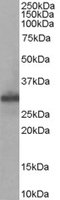 EB06507 1
