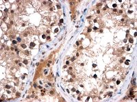 EB06019 1