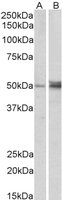 EB06022 1
