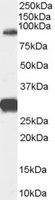 EB07520 1