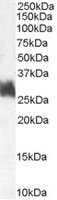 EB07279 1