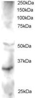 EB05377 1