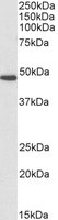 EB07874-B 1