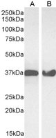 EB07069-T 3