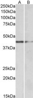 EB05570 1