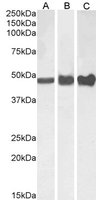 EB07478-T 1