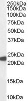 EB07283 1
