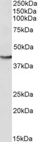 EB08400 1