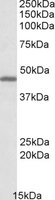 EB09692 1