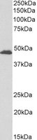 EB09692 2