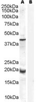 EB07319 1
